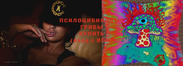 ГАЛЛЮЦИНОГЕННЫЕ ГРИБЫ Пересвет