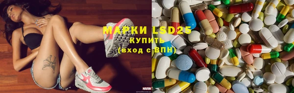 ГАЛЛЮЦИНОГЕННЫЕ ГРИБЫ Пересвет