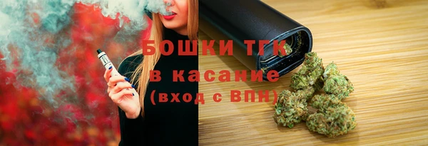ГАЛЛЮЦИНОГЕННЫЕ ГРИБЫ Пересвет