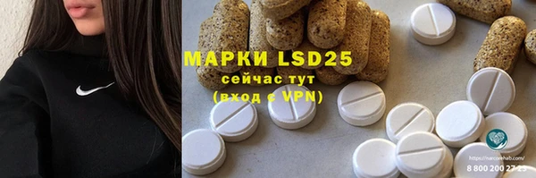 ГАЛЛЮЦИНОГЕННЫЕ ГРИБЫ Пересвет