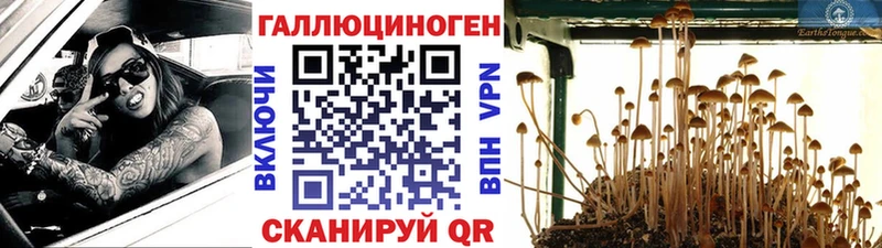 Галлюциногенные грибы ЛСД  закладки  Мурманск 