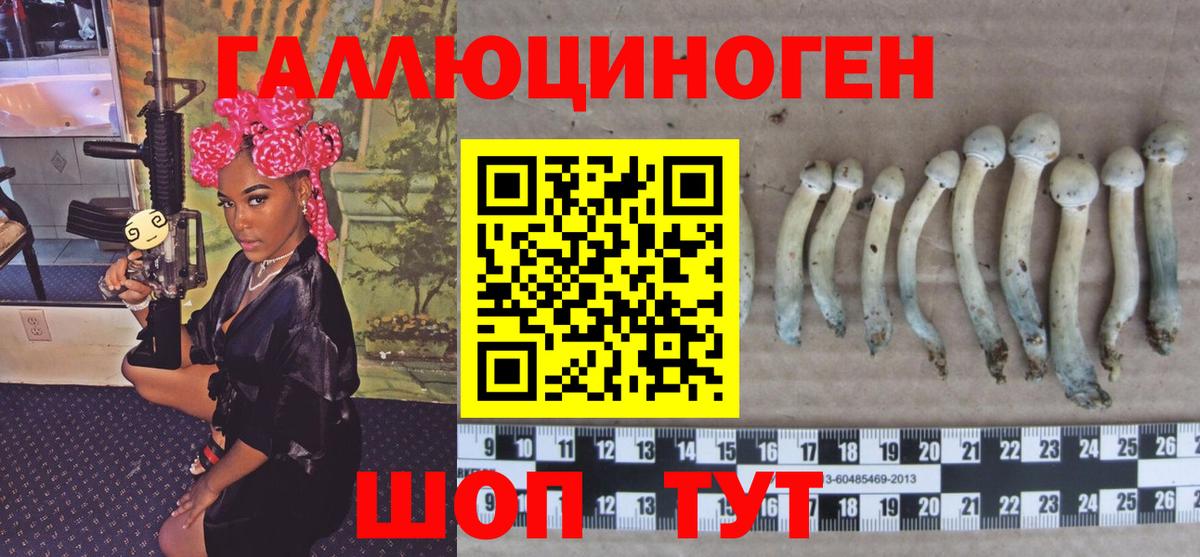 Галлюциногенные грибы мицелий Мурманск