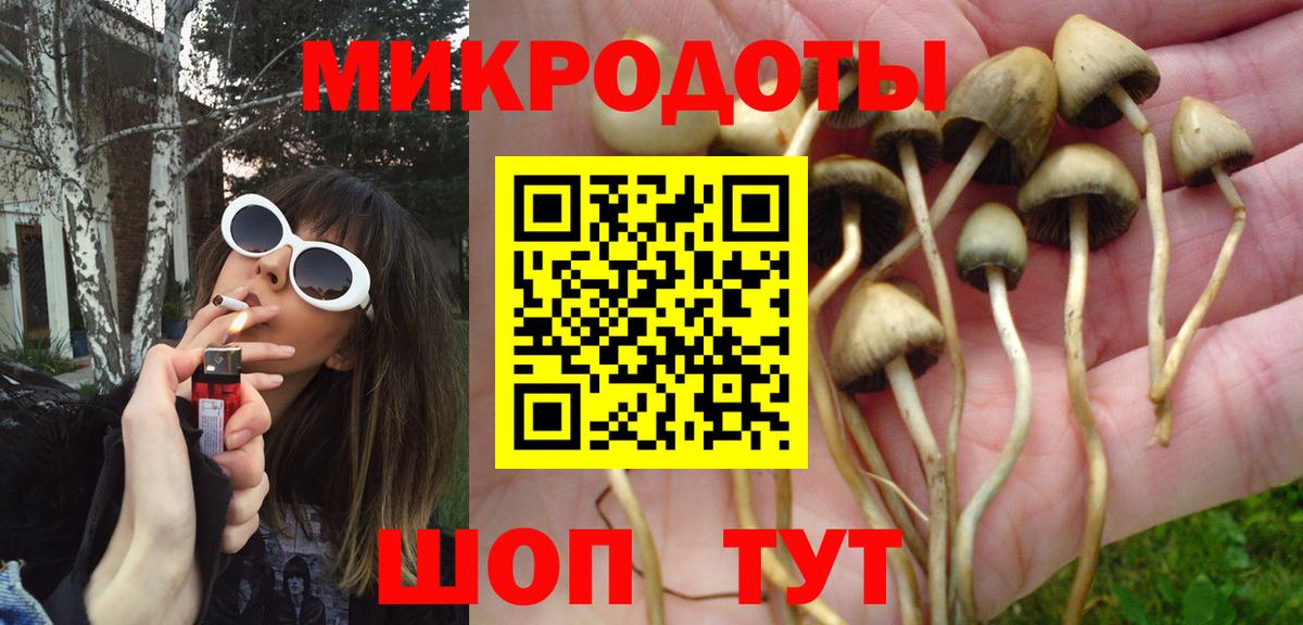 Мурманск  Псилоцибиновые грибы Psilocybe  Вход с VPN  магазин    Псилоцибиновые грибы MAGIC MUSHROOMS 